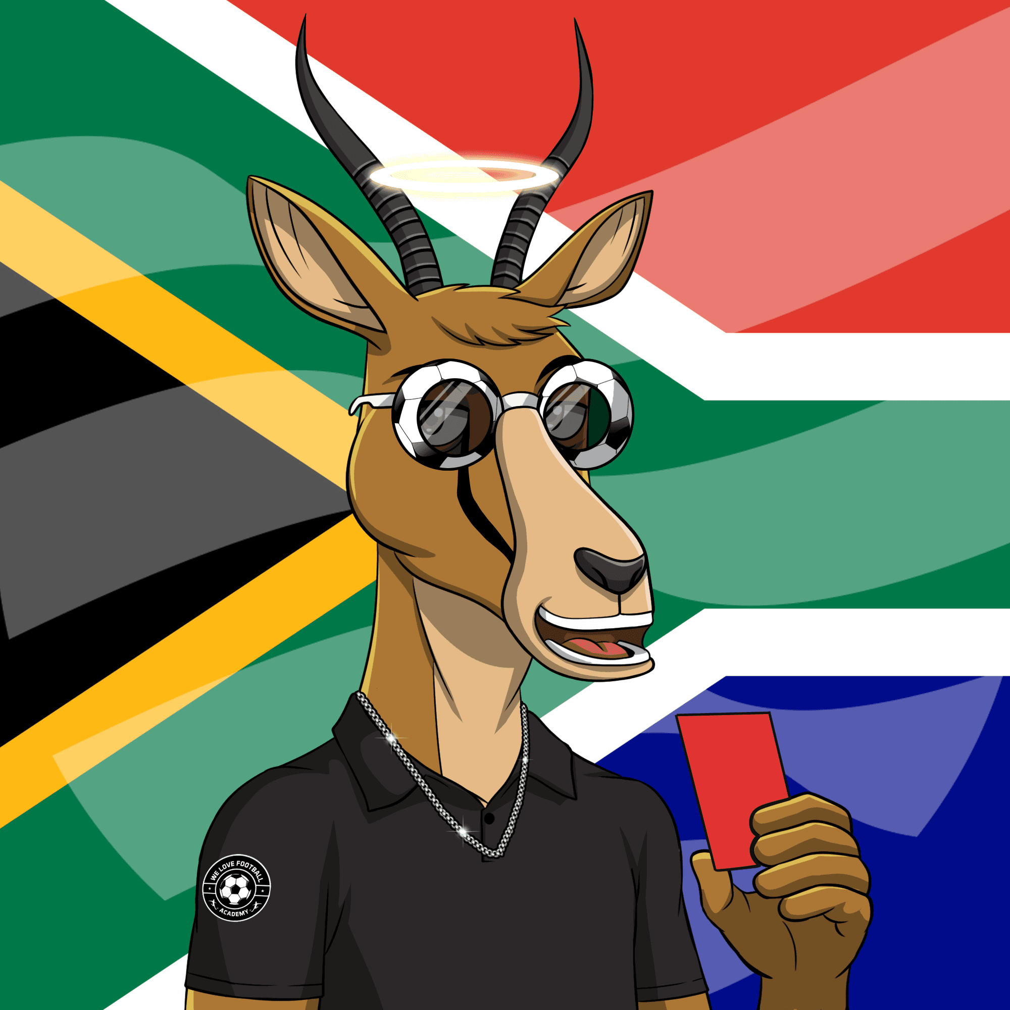 WLFA Springbok Charity Collection