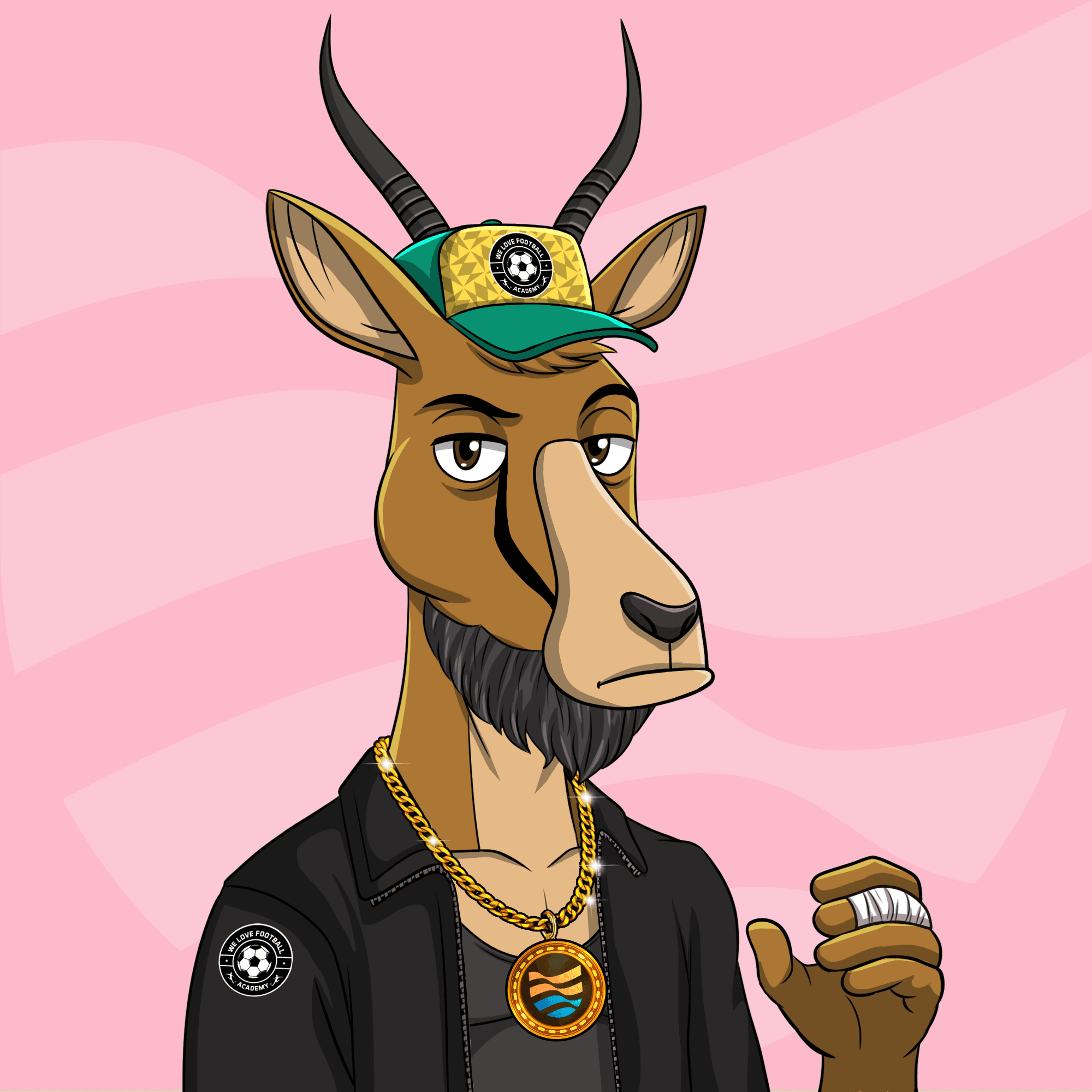 WLFA Springbok Charity Collection variant 2