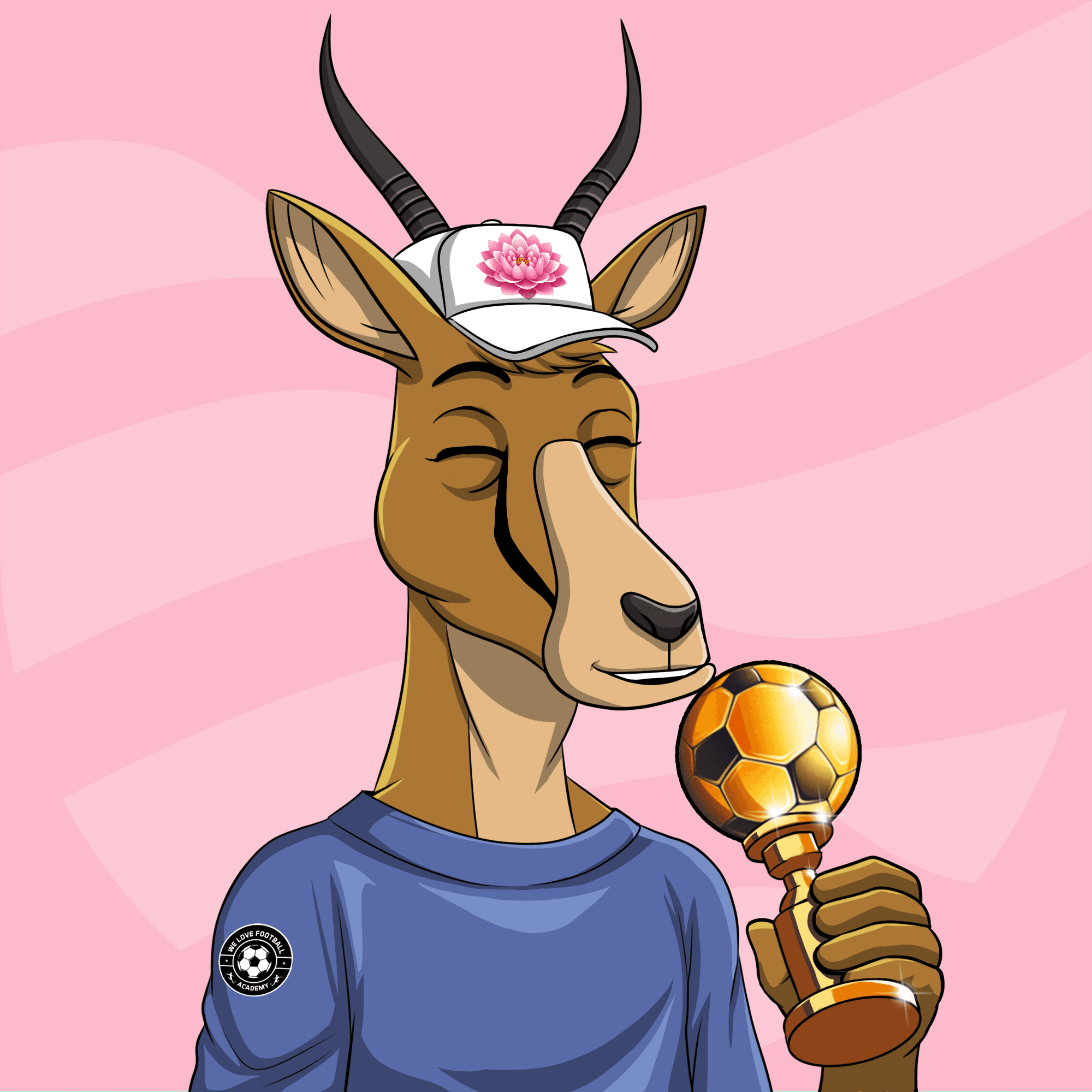 WLFA Springbok Charity Collection variant 3